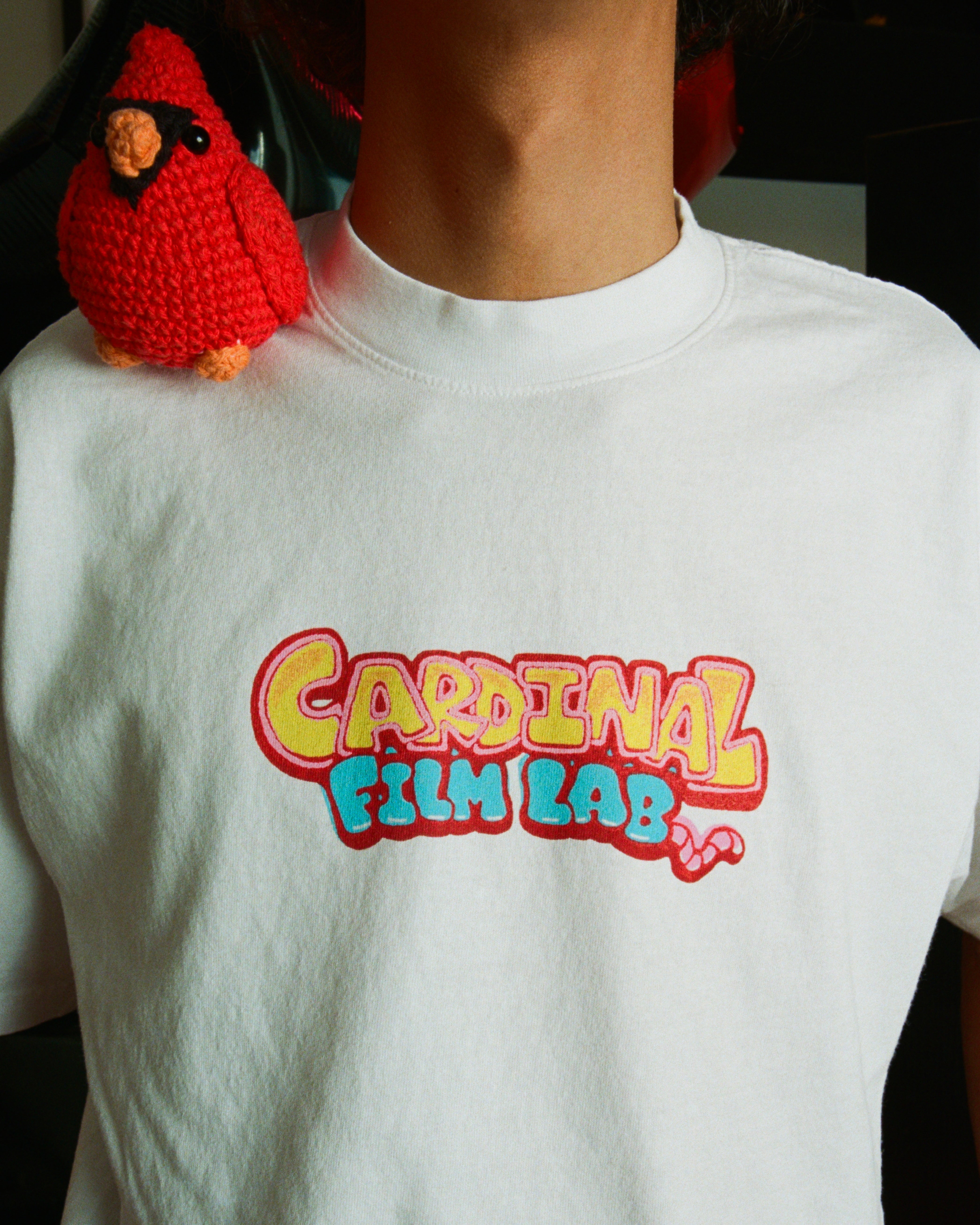 4 Year Anniversary Tee